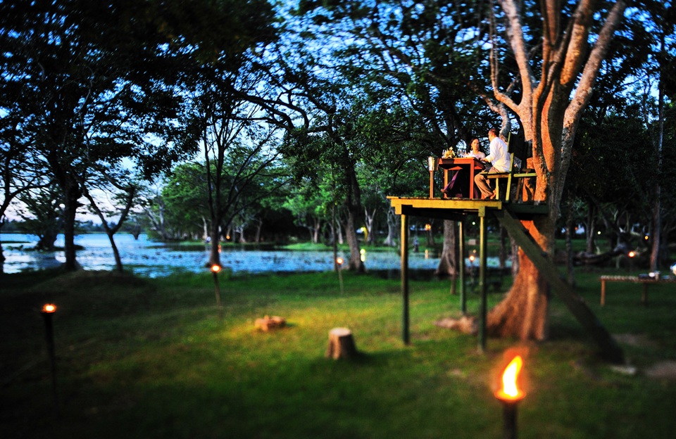 A romantic getaway with a truly memorable tree-top dinner – Dining in style