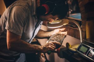 Coffee Production