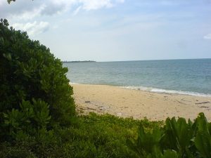 Pantai_Desaru_