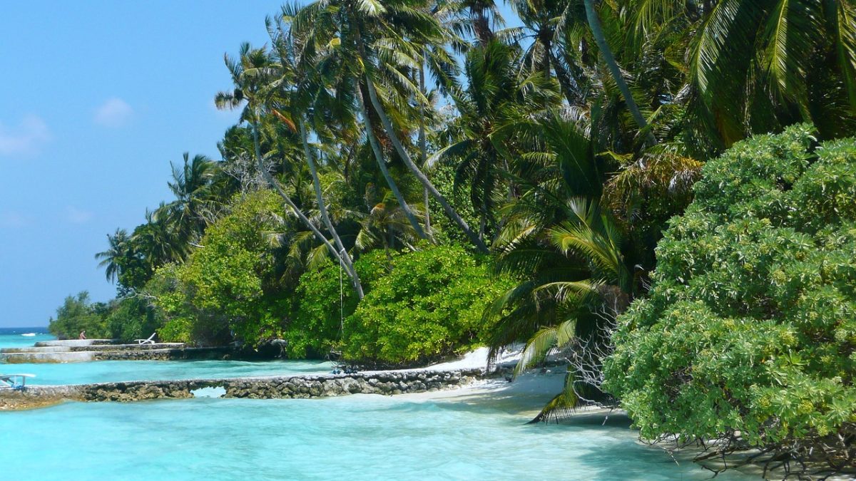 Maldives on a Plate: Unique Flavours and Exotic Drinks You Can’t Miss