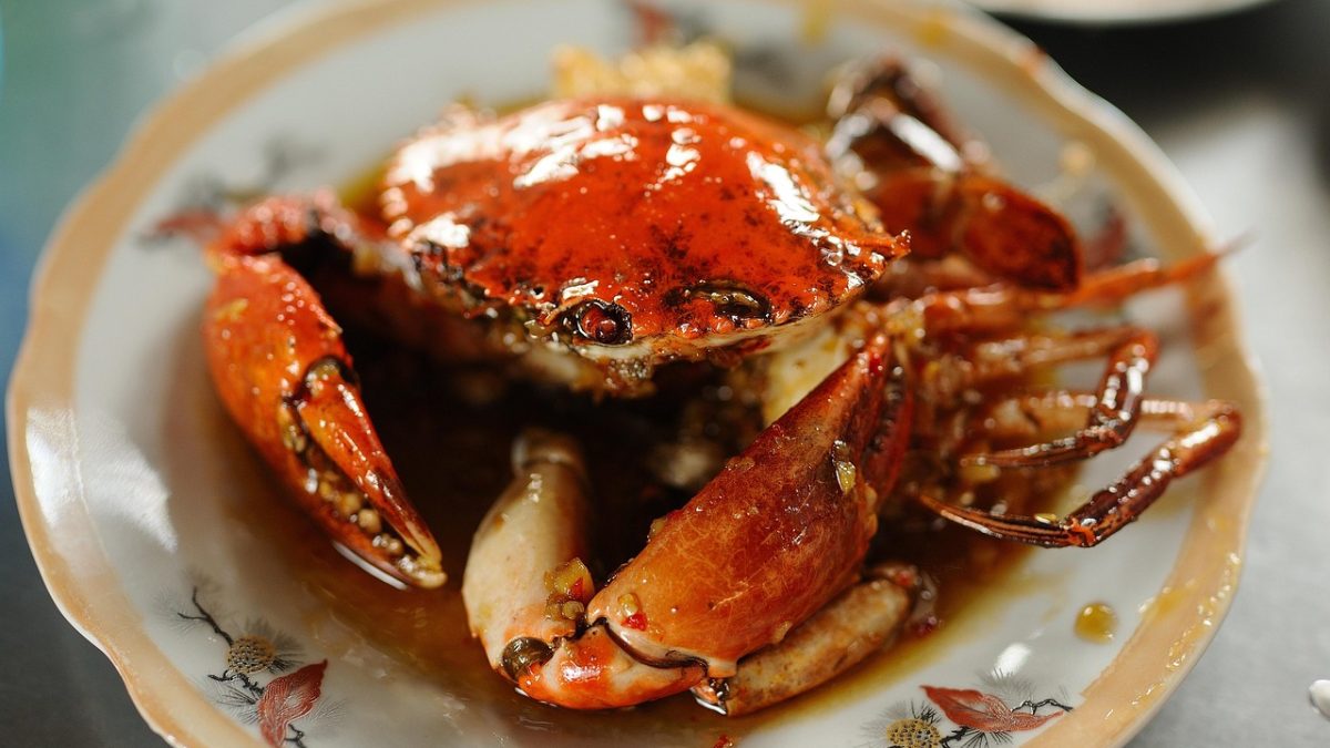 The Complete Guide to Singapore’s International Food Scene: Global Gastronomy