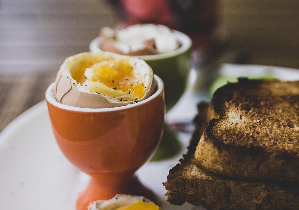 A Foodie’s Paradise: What To Do on a Self-Guided Food Tour in Singapore