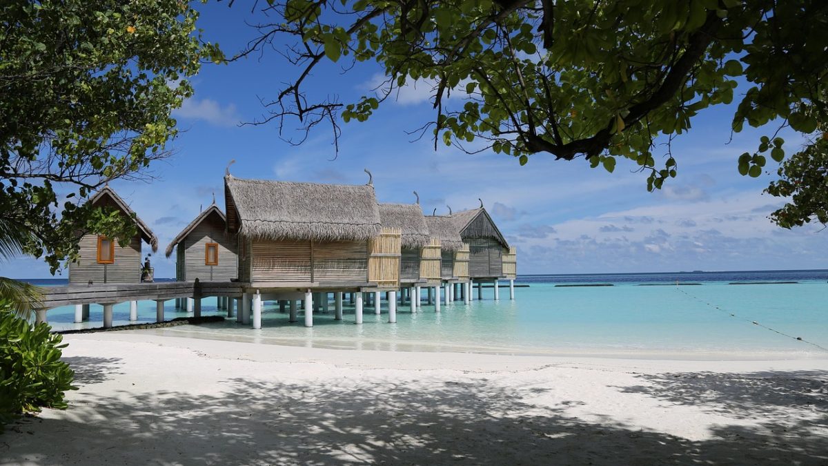 Why Ellaidhoo Maldives is the Best Diver’s Paradise – Time to Book an Exciting Diving Holiday 