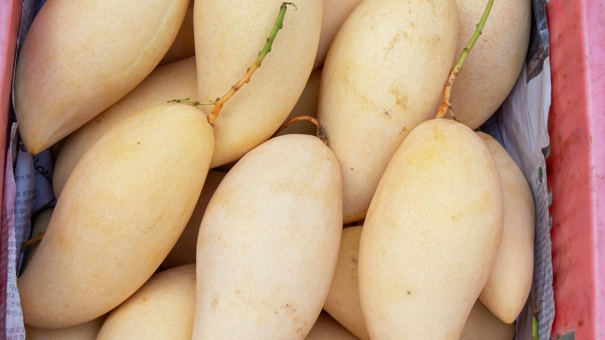 A Delicious Tribute to Cambodian Seasonal Produce — What’s in Season During Your Visit?