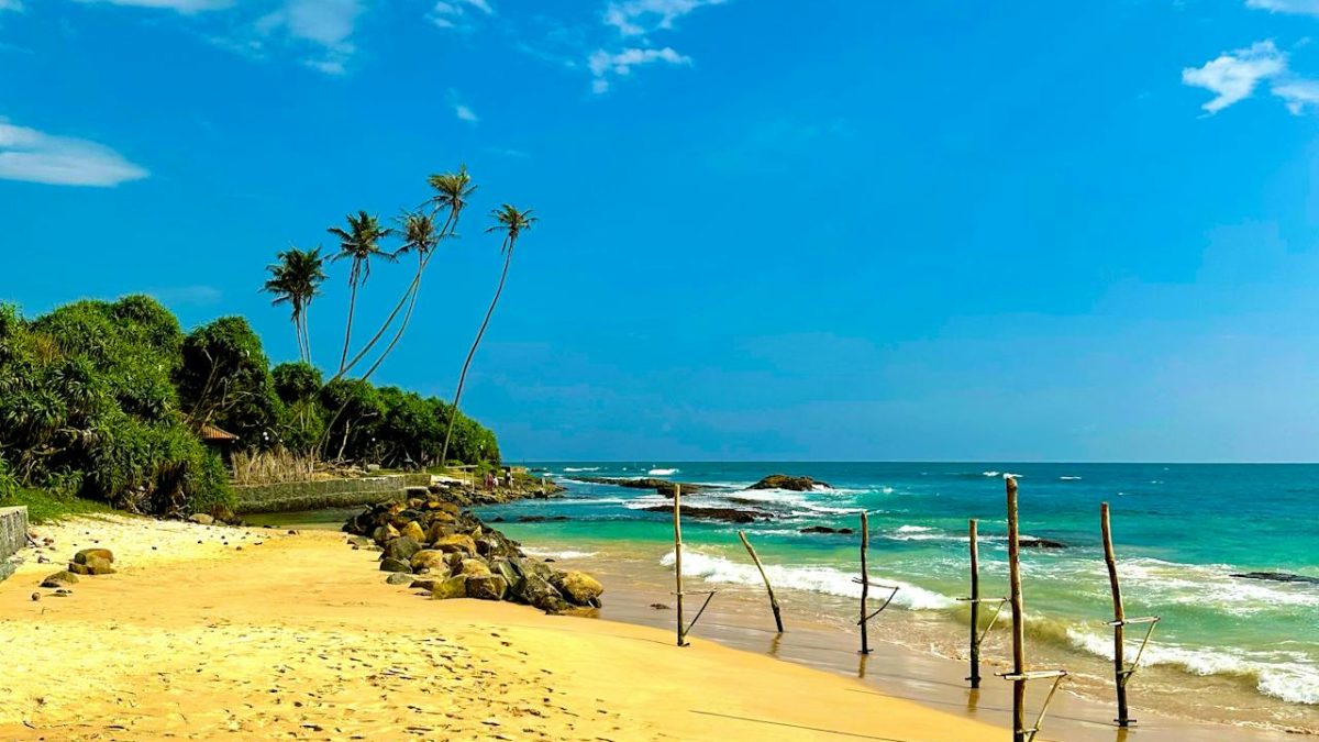 Sustainable Travel Trends in the Southern Coast: Top Regenerative Holiday Experiences in Sri Lanka’s Beach Capital