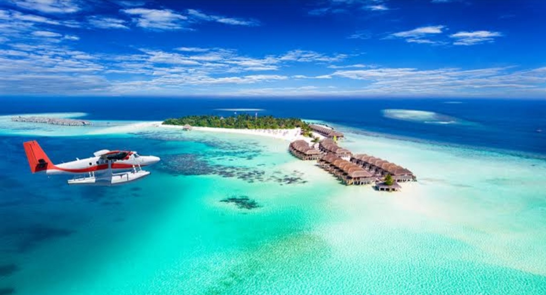 Discover the Maldives Beneath the Surface: A Complete Guide to the Best Diving & Snorkeling Spots